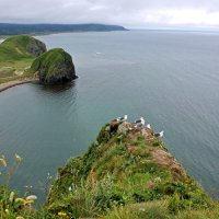 Разнообразие красот