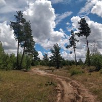 Пора в путь дорогу... :: Андрей Хлопонин
