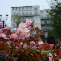 Тверской бульвар