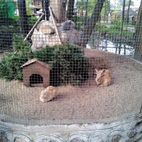 зайцев дом :: Владимир 