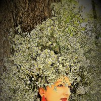 Венок :: Лана 