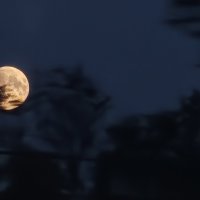 The moon