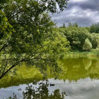 Великолепие Терлецкого парка