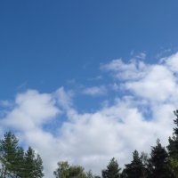 Сегодня праздник-День пролетающих облаков.