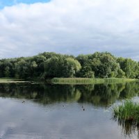 Лесные озера