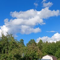 радостные личности