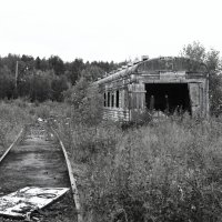 тупиковая ветвь человечества :: Артём Евтюхов