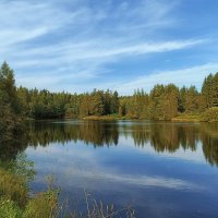 На озере Светлом. :: Лилия * На озере Светлом. :: Лилия *