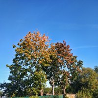 почти осень,Бокситогорск