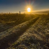 Туманное утро