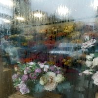 Мобильное фото :: Валентина Береснева Мобильное фото :: Валентина Береснева