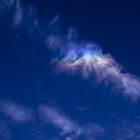Иридизация :: Владислав Коробко