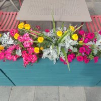 Место встречи :: Ирэн 