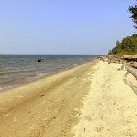 Солнечный августовский день у Обского  моря . :: Мила Бовкун