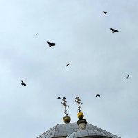 Кружат :: Мария - Maria