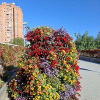 Цветы на мосту Линдакиви
