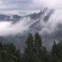 Такмак в тумане