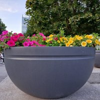 Вазы с цветами - украшение парка. :: Лия ☼ Вазы с цветами - украшение парка. :: Лия ☼