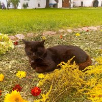 в праздник Успения Богородицы.