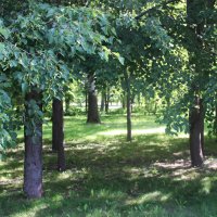 Парк в Гродно :: Любовь ***