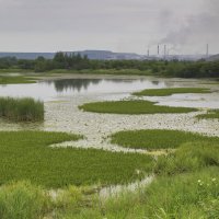 Водно болотные угодья