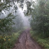 Просыпается осень