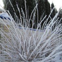 фейерверк от марта :: Елена Шаламова