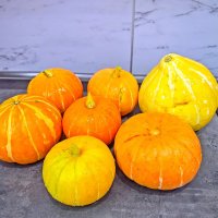 Урожай :: Валерий Иванович