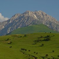 ПРОГУЛКА.