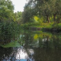 У Тихой Воды :: юрий поляков