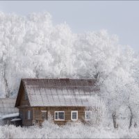 Зимно .. :: Влад Соколовский