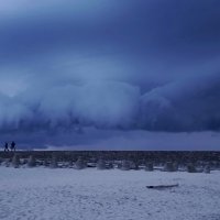 Красота природы