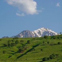 ПРОГУЛКА. :: Виктор Осипчук
