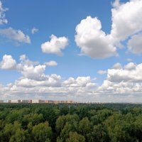 За лесами...