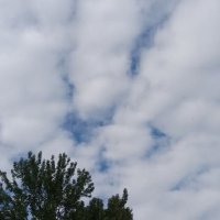 Небо  г. Монреаля :: Валерий Кокорев