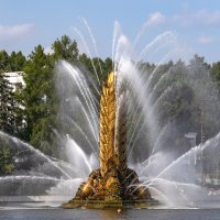 фонтан золотой колос