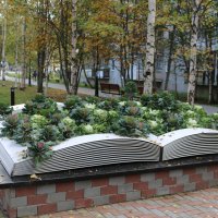 Осенняя клумба