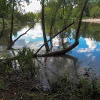 У Тихой Воды :: юрий поляков