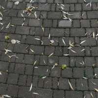 Природа :: Валентина Береснева
