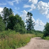 Парк Пулковской обсерватории