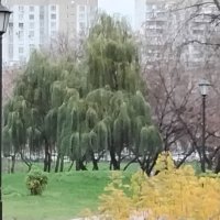 Ивушки