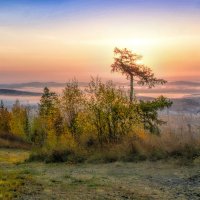 Осеннее утро