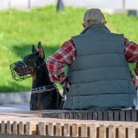 Охрана бдит. :: Анатолий. Chesnavik.