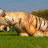 Киса :: Игорь Николаев