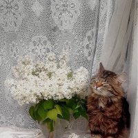 Ах,какое блаженство!