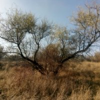 Осенний день