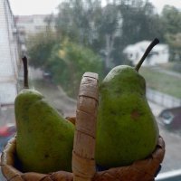 Грушное настроение