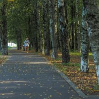 Прогулки в Осеннем Парке