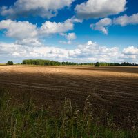 Последний день лета. :: Андрей Андрианов Последний день лета. :: Андрей Андрианов
