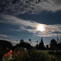 Ночное рандеву :: Галина Кан